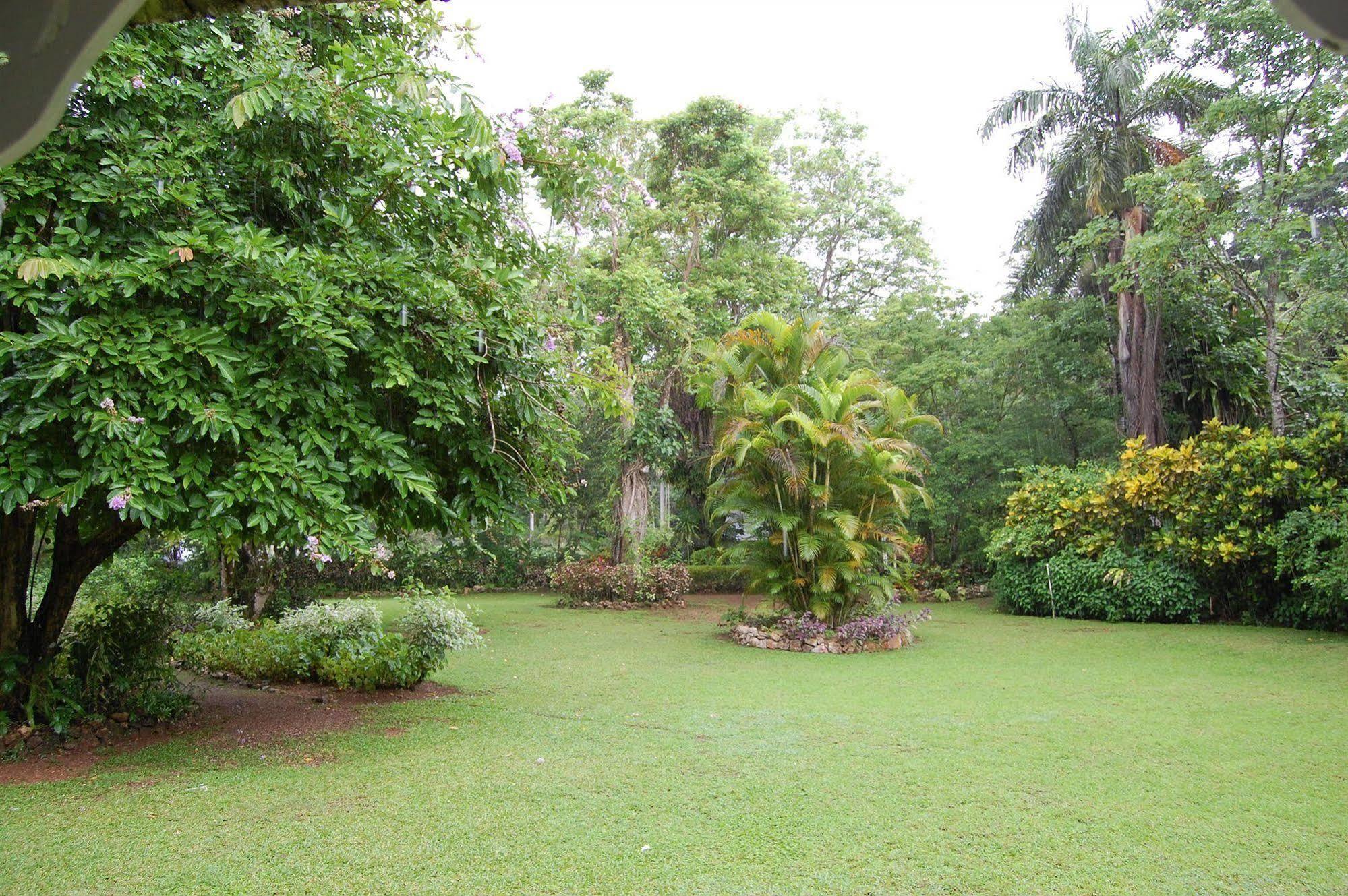 Inn At Shaw Park Gardens & Waterfalls Ocho Rios Exterior foto